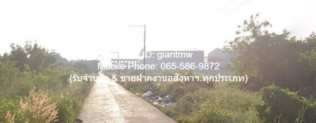 ที่ดิน ที่ดิน หลักหก ปทุมธานี  18000000 BAHT ใกล้กับ ห่างถนนกำแพงเพชร 6 ประมาณ 900 เมตร สภาพแวดล้อมดี ปทุมธานี