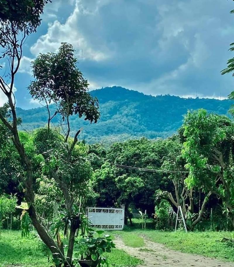 ที่ดินแปลงสวย​ #เชิงดอยสุเทพ อยู่ติด #คูเมืองเก่าแก่ที่สุดในเชียงใหม่​ (เวียงเจ็ดลิน) มีที่งอกนอกโฉนด​ติดลำธารให้ใช้ประโยชน์​