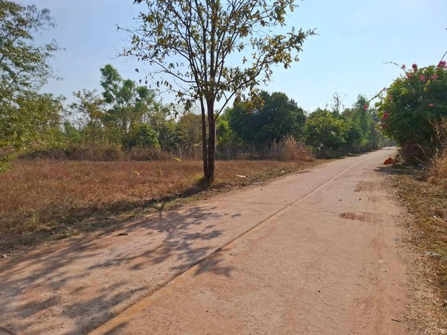 ขายที่ดินสวยติดถนน 1-0-03 ไร่ ใกล้รีสร์อทงามมีฤทธิ์ บ.หนองปลาไหล อ.โพนพิสัย จ.หนองคาย  ZP154