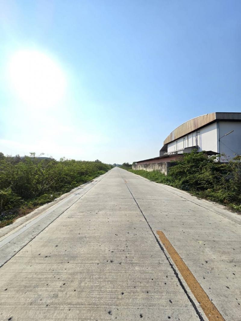 ที่ดิน 1 ไร่ ปทุมธานี ซอยไอยรา 6/1  ที่ดิน 1 ไร่ ปทุมธานี ซอยไอยรา 6/1