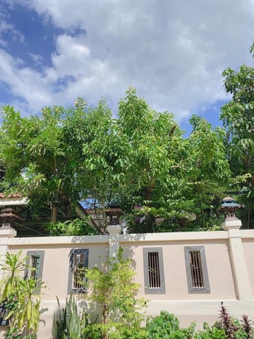 ขายบ้านเดี่ยวชั้นเดียว บ้านโคกนางาม ตำบลสำราญ อำเภอเมืองขอนแก่น เนื้อที่ 73 ตารางวา