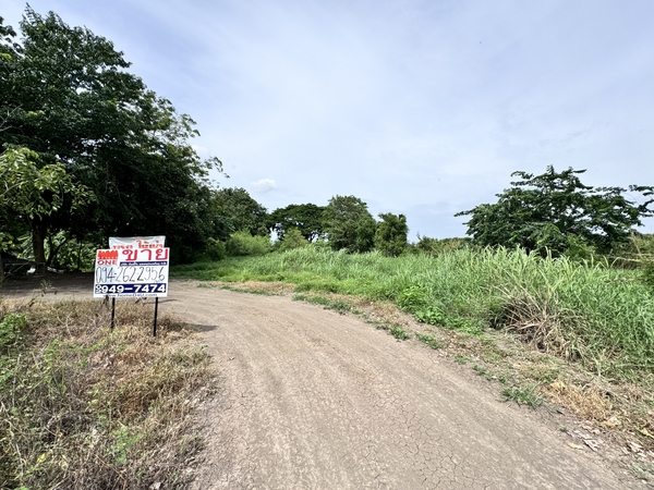  ขาย ที่ดินติดถนนทางหลวง3309 ทำเลทอง! เหมาะแก่การลงทุน ต.สามคิ้ว อ.สามโคก จ.ปทุมธานี  