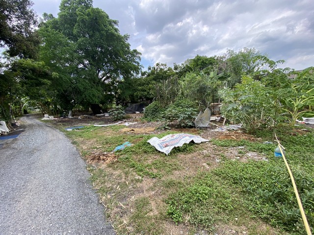 บ้านเช่าให้เลี้ยงสัตว์ได้ หมู่บ้าน สินธานีแกรนด์วิลล์   ติดมอเตอร์เวย์ ธัญบุรีคลอง5 ปทุมธานี