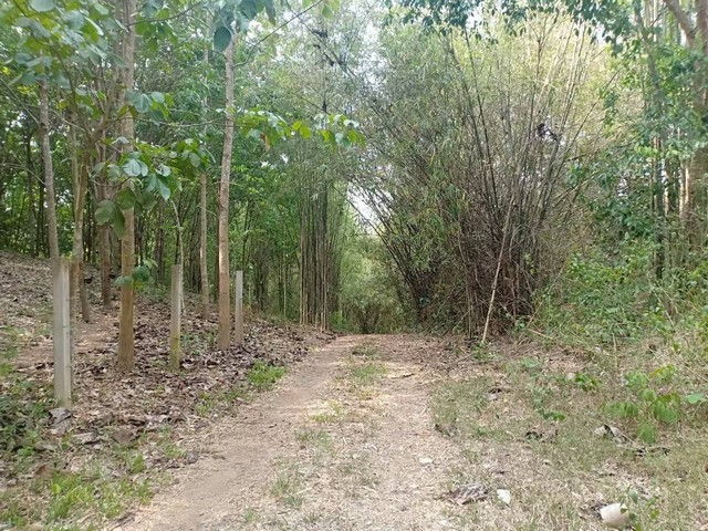 พื้นที่ดิน ที่ดิน ต.ปอน อ.ทุ่งช้าง จ.น่าน 163303 ตาราง-วา  73400000 B. ไม่ไกลจาก ห่างด่านตรวจคนเข้าเมืองไทยลาวประมาณ 25 กิโลเมตร สวยมาก