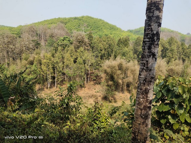 พื้นที่ดิน ที่ดิน ต.พงษ์ อ.สันติสุข จ.น่าน ไม่ไกลจาก ห่างถนนทางหลวงหมายเลข 1225 ประมาณ 700 ม. และสนามบินน่านนคร ประมาณ 39 กม. 36500000 thb  ขนาด = 24 ตารางวา 2 ngan 104 ไร่ ราคางาม ที่ดินผืนใหญ่ ติดแม่น้ำ ร่มรื่น และมีต้นไม้นานาชนิด สามารถนำพัฒนาเป็น