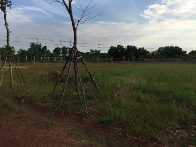 ขายที่ดินไร่ถมแล้ว ใกล้ชิดธรรมชาติแบบสุดๆ ติดถนนด้านหนึ่ง และ ติดริมแม่น้ำบางปะกง พื้นที่ดิน : สีเขียวลาย เนื้อที่ 15ไร่ 22ตารางวาสถานที่ใกล้เคียง-โรงเรียนบ้านสนามจันทร์ 600เมตร-วัดสนามจันทร์ 1.6km-ที่ว่าการอำเภอบ้านโพธิ์ 2.1km-ร้านอาหารบ้านโพธิ์ริเวอร์ไซด์  2.9km-โรงพยาบาลบ้านโพธิ์ 7km-ถนนฉะเชิงเทรา บางปะกง 7.2kmสนใจติดต่อPATCHA : 091 7893629Line : https://line.me/ti/p/PJC140n5G4MAIL : Ddestinycontact@gmail.com