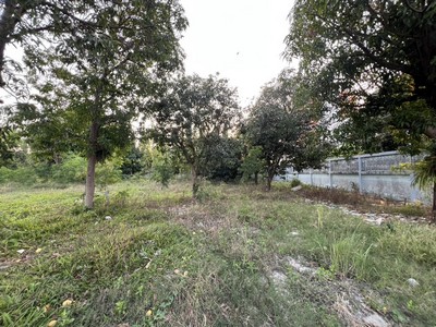 จากที่ดินไปซีคอนศรีนครินทร์ 5 นาที! ใกล้ MRT 1.5 กม. ขายที่ดินอ่อนนุช 46 เนื้อที่ 3-3-13 ไร่ เหมาะสร้างบ้านหรู ทำเลศักยภาพซื้อเก็บก็เติบโต