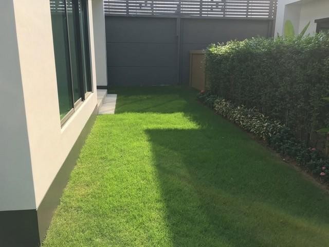 RS117 เช่า บ้านเดี่ยว โครงการ เศรษฐสิริ กรุงเทพกรีฑา โครงการทำเลดี เดินทางสะดวก