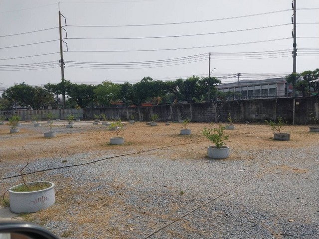 LVPU53052 ให้เช่า ที่ดิน ติดถนนใหญ่อ่อนนุช ขายที่ดิน ติดถนนใหญ่อ่อนนุช - ขนาดที่ดิน 7 ไร่ 3 งาน 65 ตารางวา ใกล้สนามบินสุวรรณภูมิ