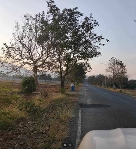 ขายที่ดิน 11 ไร่กว่า ตัดแบ่ง ต.ช่องสาริกา อ.พัฒนานิคม จ.ลพบุรี