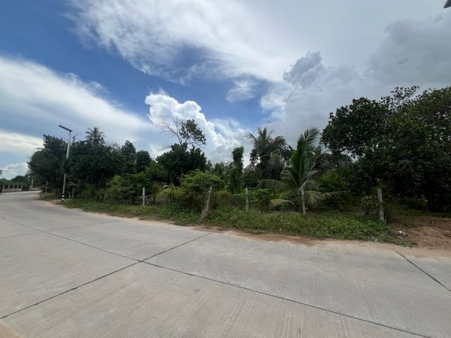 ขายที่ดินแปลงสวย ราคาถูก ทำเลดี ติดถนนคอนกรีต ซอยเขาน้อย FP-L0226