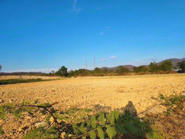 ขายที่ดินมะขามคู่นิคมพัฒนาระยอง   บนเนื้อ  90-1-19 ไร่ พื้นที่สีเหลือง eec