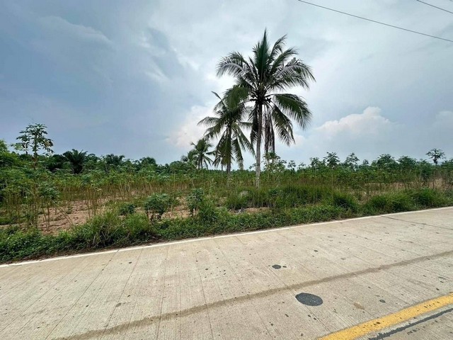 ขายที่ดินหนองเสือช้าง หนองใหญ่ ชลบุรี เนื้อที่ 42-2-78 ไร่ พื้นที่สีม่วงลาย