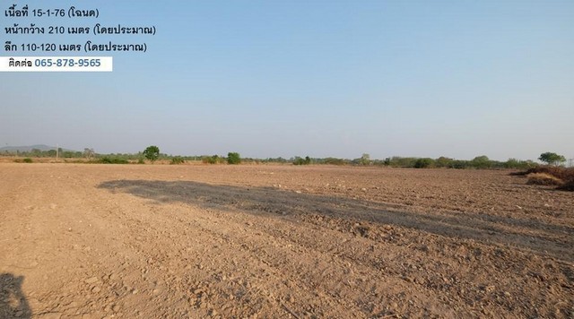 ขายที่ดินทำเลดี 2 แปลงติดกัน (15 และ 50 ไร่) เจ้าของขายเอง แยกขายได้ ตำบลหนองบัว อำเภอหนองบัว จังหวัดนครสวรรค์