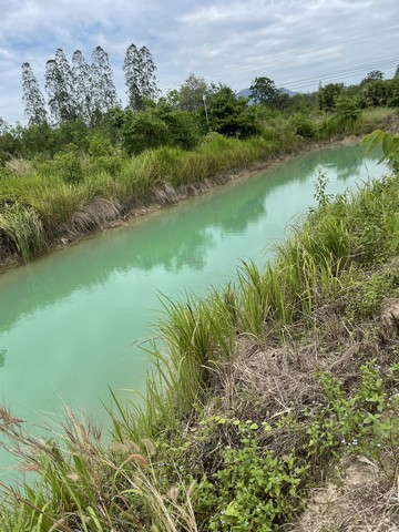ขายด่วนที่ดิน5ไร่ ติดถนนลาดยาง ทางไปชะอำ ต.เขากระปุก อ.ท่ายาง จ. เพชรบุรี