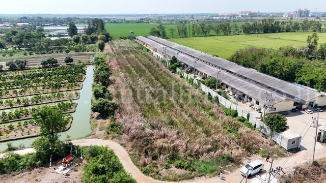 ที่ดินเปล่า 5 ไร่ อ.เมือง จ.นครปฐม ใกล้ศูนย์ราชการนครปฐม