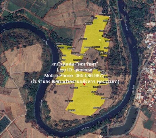 พื้นที่ดิน ขายที่ดินไร่อ้อย เนื้อที่ 45-0-31.9 ไร่ ติดแม่น้ำเลย อ.เมืองเลย จ.เลย, ราคา 18.7 ล้านบาท 18832 ตาราง.วา 18700000 -   ทรัพย์ดี