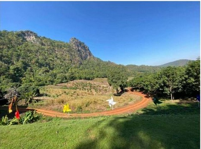 ขายที่ดิน112ไร่ 190ลบ.พร้อมกิจการรีสอร์ท คาเฟ่ น้ำพุร้อน สาธารณูปโภคครบ ติดถนนหลวง107 เชียงใหม่-ฝาง ต.ศรีดงเย็น อ.ไชยปราการ เชียงใหม่