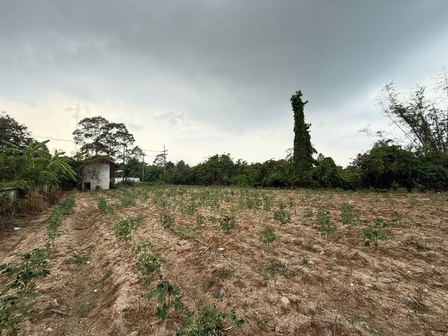 ขายที่ดินเปล่า ขอบอ่างบางพระ ศรีราชา ติดถนน เส้นนาพร้าว TP-L1098