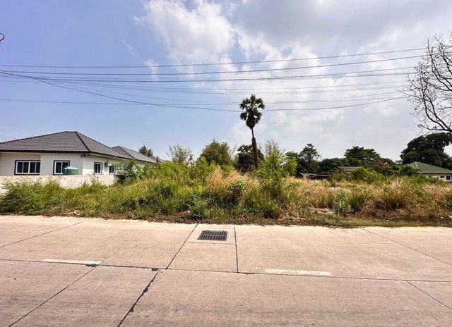 ขายที่ดินเปล่า แปลงสวย ใจกลางเมือง ชลบุรี แหล่งชุมชน ถ.ประชาสุขใส  TP-L1089