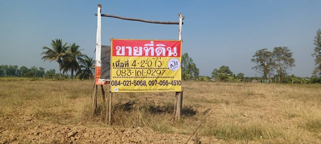 ขายที่ดินทำเลดี 4-2-0 ไร่  ติดถนนหลวง สุโขทัย - พิษณุโลก  ไผ่ขอดอน  เมืองพิษณุโลก   ZK441