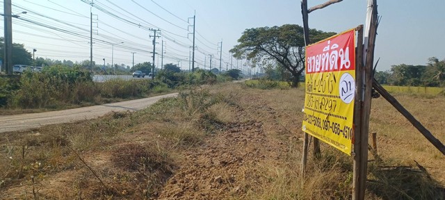 ขายที่ดินทำเลดี 4-2-0 ไร่  ติดถนนหลวง สุโขทัย - พิษณุโลก  ไผ่ขอดอน  เมืองพิษณุโลก   ZK441