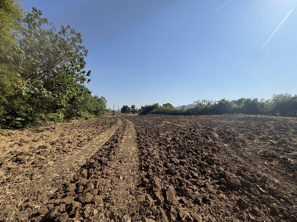 ขายที่ดินเปล่าติดถนน 940 บาท/ตร.ว (เท่าราคาประเมินกรมที่ดิน) อ.พระพุทธบาท จังหวัดสระบุรี