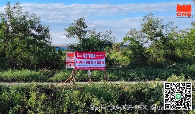 ขายที่ดินเปล่า 12 ไร่ บางปะกง ฉะเชิงเทรา ใกล้อุตสาหกรรม