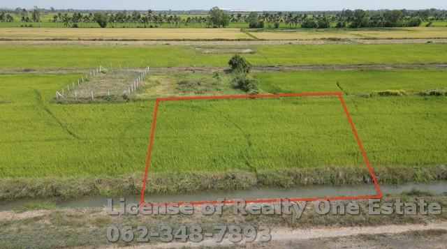 ขายที่ดินราคาถูกสุด คลอง 22 ต.ศรีษะกระบือ อ.องครักษ์ จ.นครนายก