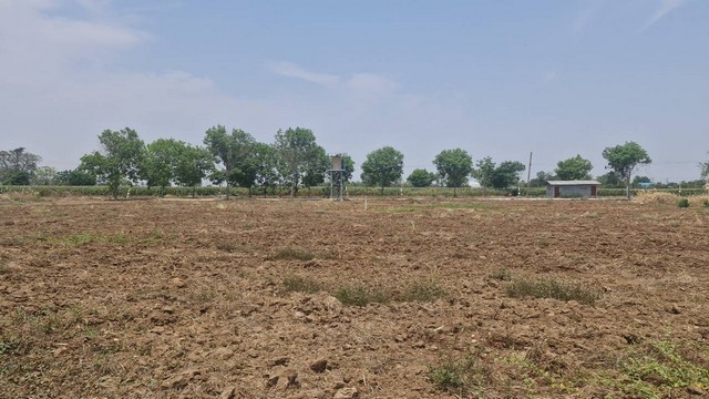 ที่ดินวิวเขา แคมป์ปิ้ง ที่ดินแปลงเกษตร น้ำไม่ท่วม จ.สุพรรณบุรี ราคาเริ่มต้นตารางวาละ 1,400