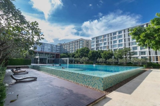 ให้เช่าดีคอนโด ซายน์ วิวสวน เฟอร์ครบ พร้อมเข้าอยู่            