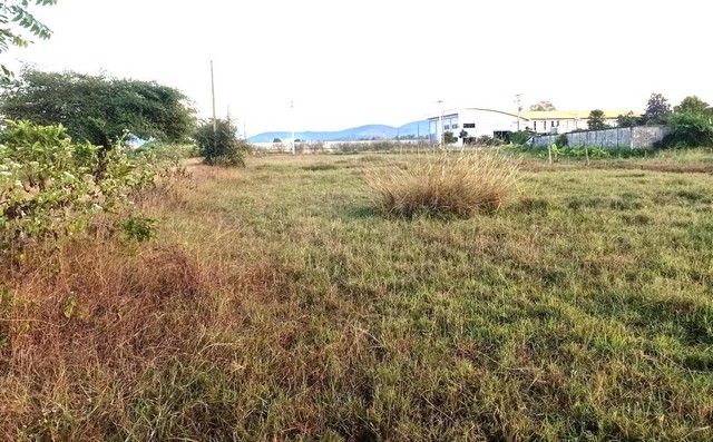 ขายที่ดินจัดสรร 189.9ตรว. 700,000บ. ใกล้ถนนหมู่บ้านครู-บ้านธิ บ้านสันรอมหมี ต.มะเขือแจ้ อ.เมือง ลำพูน