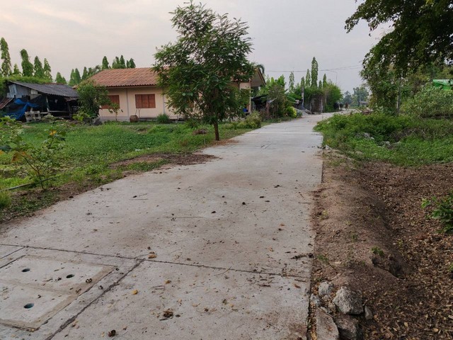 ที่ดินหนองบอนแดงบ้านบึงชลบุรี ✴️บนเนื้อที่ 1 ไร่ เหมาะปลูกบ้านพักอาศัยบรรยากาศบ้านสวน