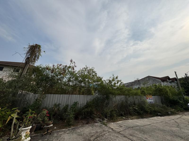 ที่ดินให้เช่า ทำเลทอง! ในราคาที่ถูกสุดคุ้ม โชคชัย 4