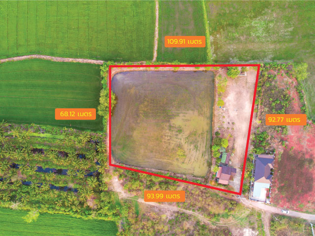 ขายด่วนบ้านพร้อมที่ดิน 4 ไร่ 3 งาน 66.5 ตรว แปลงสวย ต.ปรุใหญ่ อ.เมืองนครราชสีมา จ.นครราชสีมา