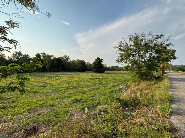 ขายที่ดิน เนื้อที่ 13 ไร่  63 ตารางวา อำเภอบ้านนา จังหวัดนครนายก 