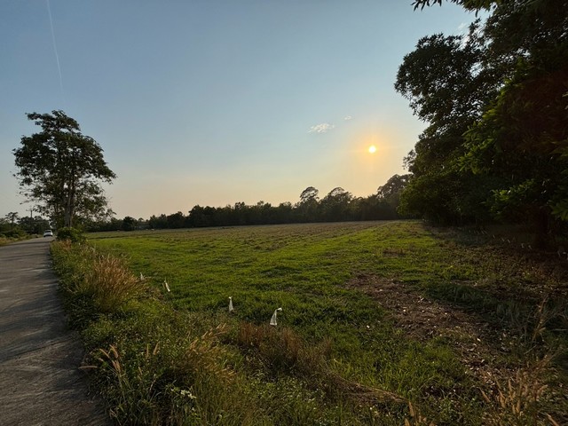 ขายที่ดิน เนื้อที่ 13 ไร่  63 ตารางวา อำเภอบ้านนา จังหวัดนครนายก