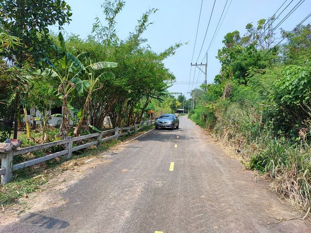 ขายที่ดินสวย 363 ตรว.ถ.นิคมสาย1 ฟาร์มโคนมไทยเดนมาร์ค อ.มวกเหล็ก สระบุรี  ติด  รีสอร์ทดัง สนามกอล์ฟเซอร์เจมส์