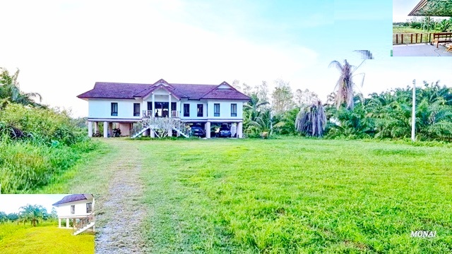 ตำบลบางโพธิ์ เซ็นทรัล AIRBNB ให้เช่าคฤหาสน์ 3 ไร่ 189 ตรม.ถ.พันวัง  สุราษฎร์ธานี รักสงบ รักสัตว์ 3นอน 3น้ำ จอดรถ20คัน 2แอร์ 