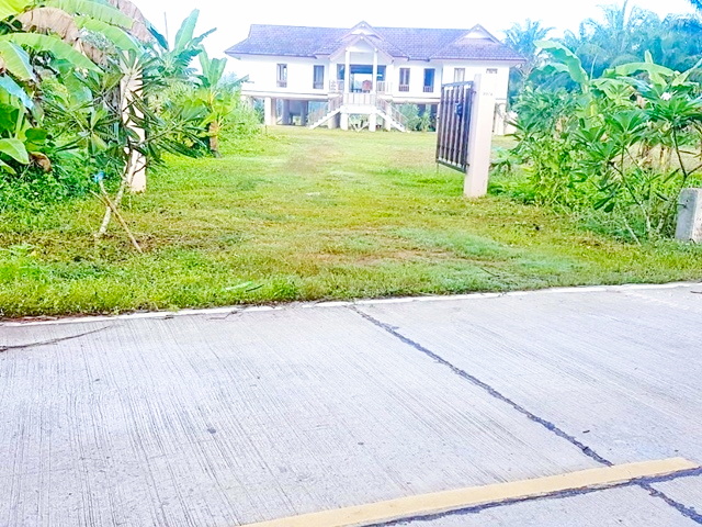 ให้เช่า คฤหาสน์ AIRBNB  โลตัส บิ๊กซี  รักสงบ สนามบินนานาชาติสุราษฎร์ธานี 15นาที  ยกสูง 3 ไร่ 199ตรม. รักสัตว์ 3นอน 3น้ำ จอดรถมาก 3แอร์ 