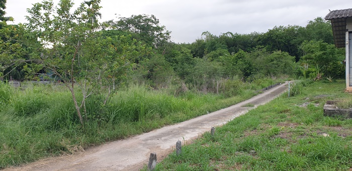 ขายที่ดินแปลงสวย 2 โฉนด 704 ตร.ว. ซอยล็อก 2 - ล็อก 7   ตำบล หนองละลอก อำเภอบ้านค่าย