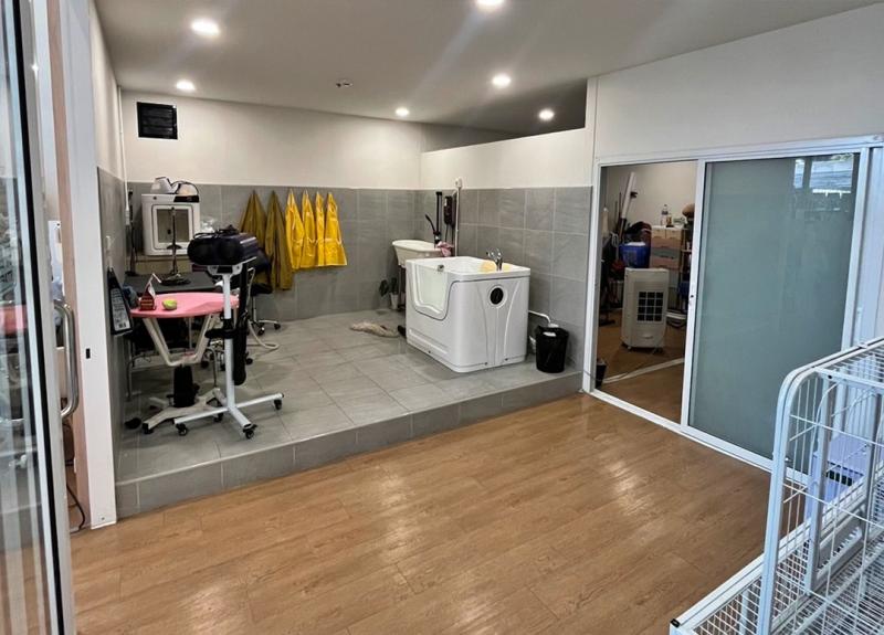 เซ้งร้านอาบน้ำ-ตัดขนสัตว์เลี้ยง ใต้ตึกเมเจอร์ทาวเวอร์ พระราม 9 รามคำแหง ติดคอนโดเลี้ยงสัตว์ได้