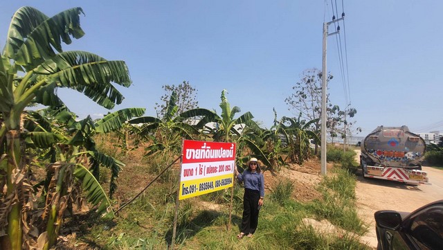 ขายที่ดิน 1 ไร่ หนองใหญ่ ต.หนองเสือข้าง อ.หนองใหญ่ จ.ชลบุรี