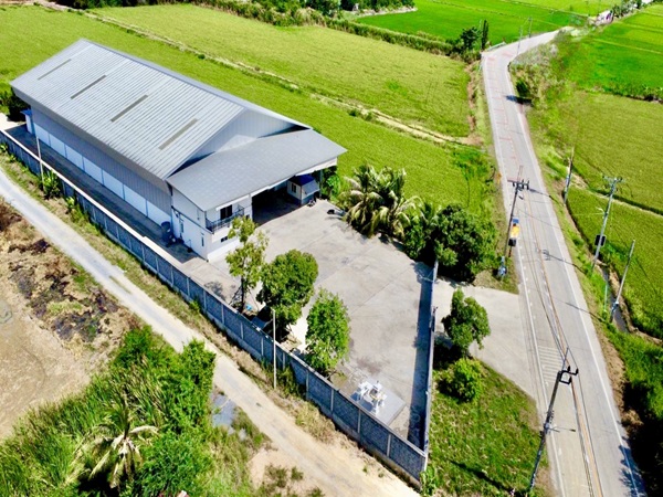 ขายอาคารโรงงาน/โกดังเนื้อที่ 5ไร่พื้นที่ใช้สอย 1,000ตร.ม รับน้ำหนักได้ 3.5ตัน/ตร.ม ถนนบางบัวทอง340 ไทยน้อย นนทบุรี ราคาขาย 35 ล้านบาท