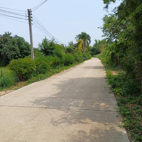 ให่เช่าที่ดินชลบุรี  90 ไร่ ปล่อยเช่าระยะยาว บางละมุงชลบุรี ผังสีเหลือง บนเนื้อที่ 90 ไร่