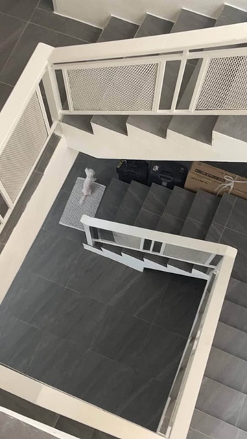 รัชดา BTSอารีย์ 1.3กม.ให้เช่าอาคาร 3ชั้น 28ตรว.รร.นานาชาติรีเจ้นท์ 3.8กม. ทำเลใจกลางเมือง  340ตรม. 3นอน 5น้ำ เหมาะกับทำธุรกิจเสริมความงาม