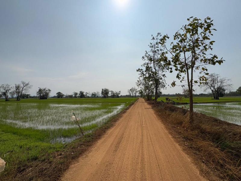 ขายที่ดินเปล่า ขนาด 3 ไร่ 105 ตารางวา ทำเลดี บรรยากาศดี เงียบสงบ ต.คุ้งตะเภา อ.เมืองอุตรดิตถ์ จ.อุตรดิตถ์