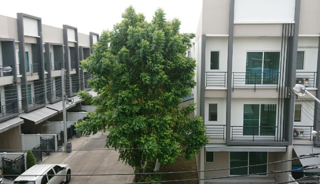  ให้เช่าทาวน์โฮม 3 ชั้น บ้านกลางเมือง สุขุมวิท 77  ใกล้BTS อ่อนนุช