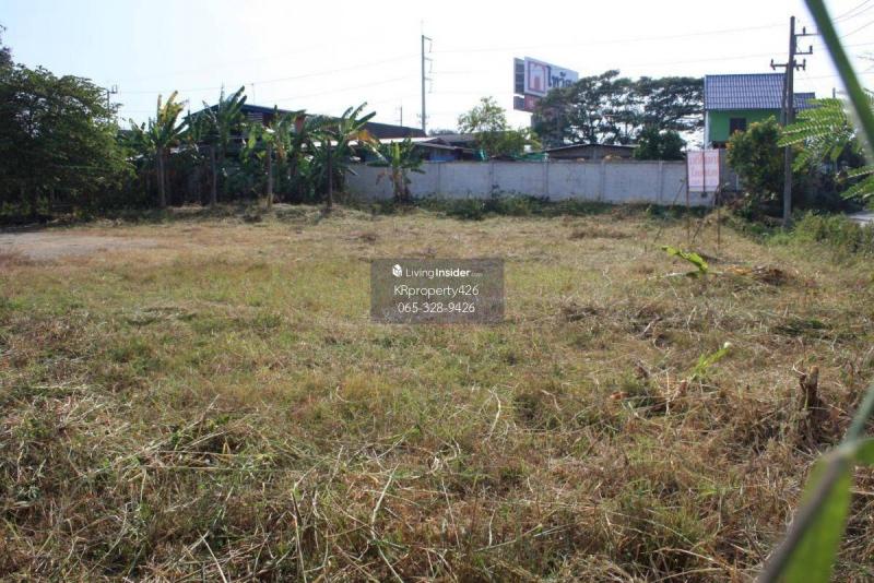 ขายที่ดินเปล่า ทำเลทอง ใกล้แม็คโครปากช่อง จังหวัดนครราชสีมา