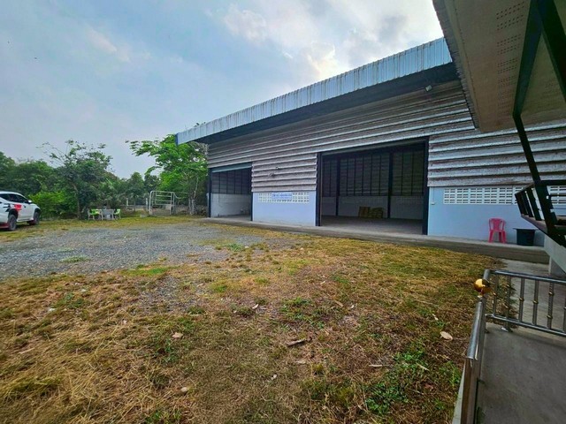 ขายและให้เช่าออฟฟิศโกดังพนัสชลบุรี บนเนื้อที่ 1-2-19  ไร่ ผังสีเหลือง